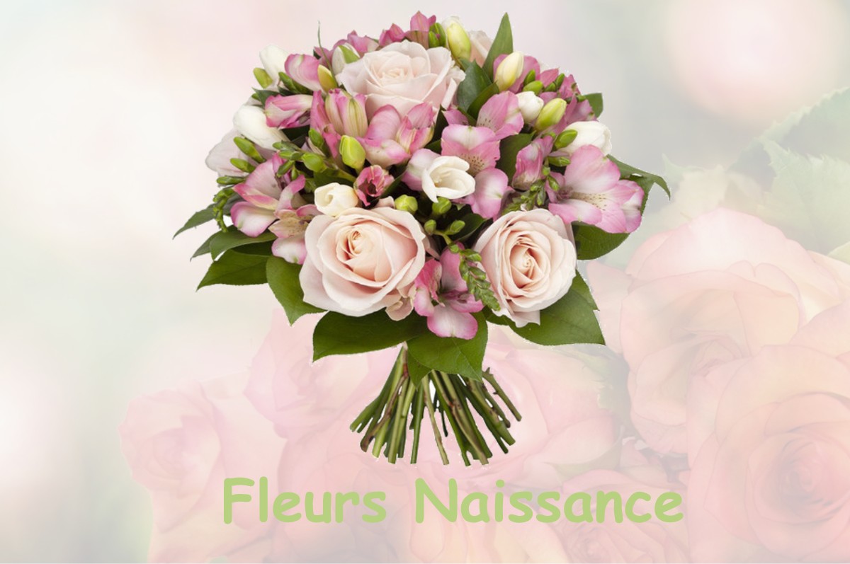 fleurs naissance VIENNE