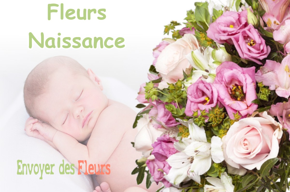 lIVRAISON FLEURS NAISSANCE à VIENNE